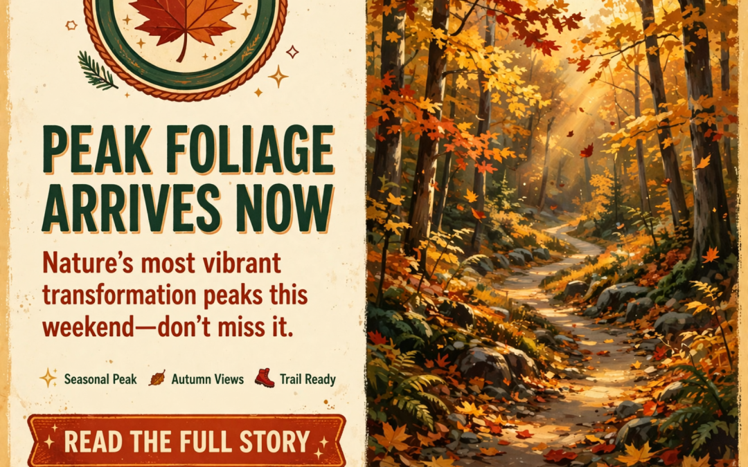 🍂 Fall Foliage Peak Coming to Cherokee National Forest
