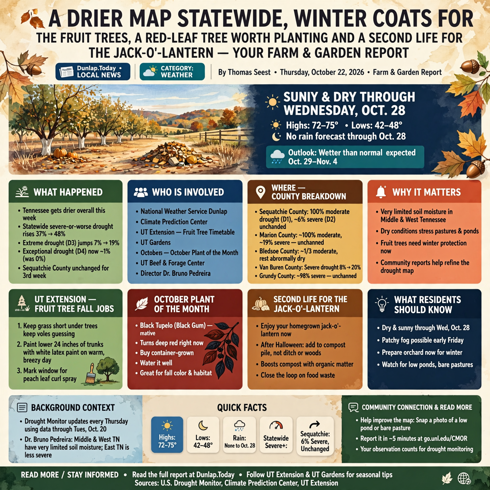 Story infographic
