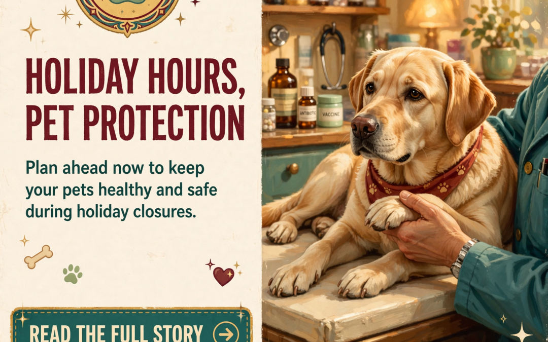 🐾 Coops Creek Veterinary Clinic Announces Holiday Hours & Emergency Care Resources in Dunlap