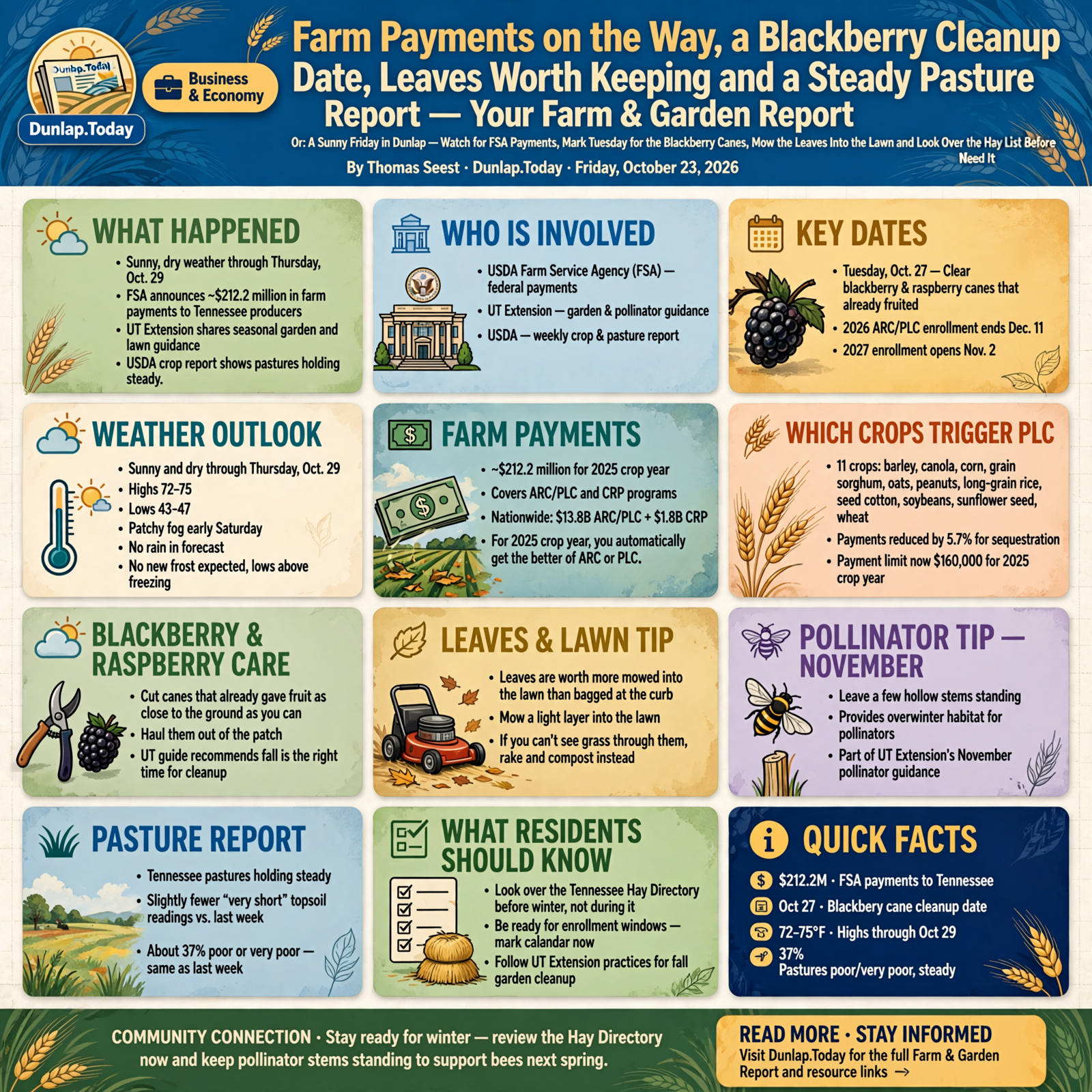 Story infographic