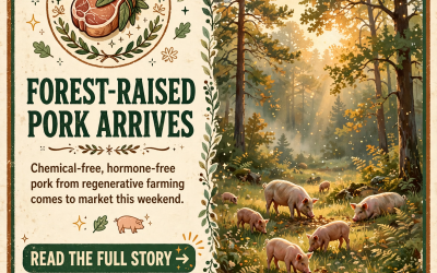 🐖 Heartwood Farm Brings Forest-Raised Pork to Dunlap Farmers Market